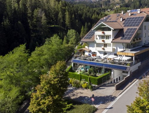 Hotel Erica Freedom in the Alps